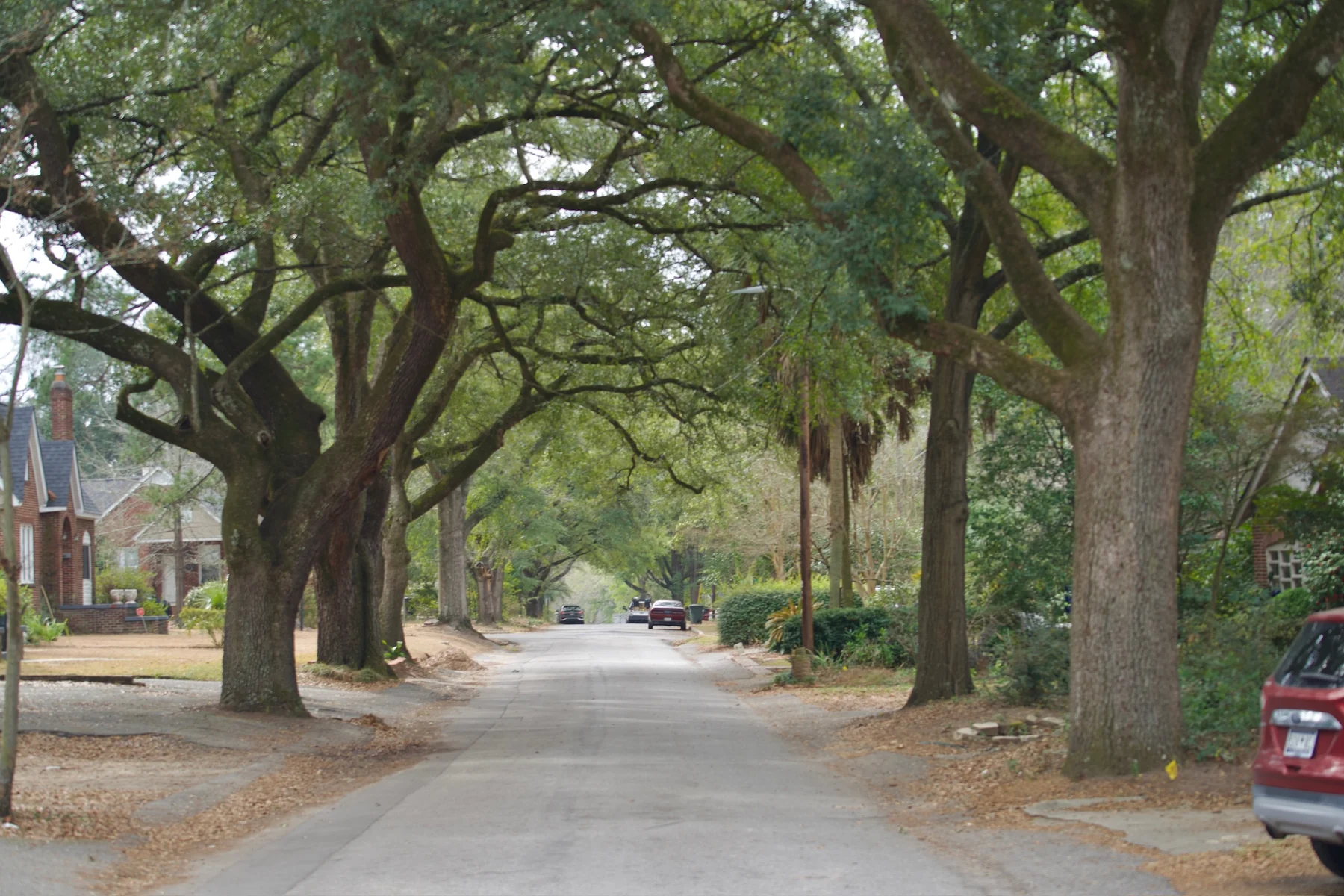 Established brick office on a tree-lined Columbia neighborhood street